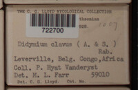 Image Associated With the Occurrence